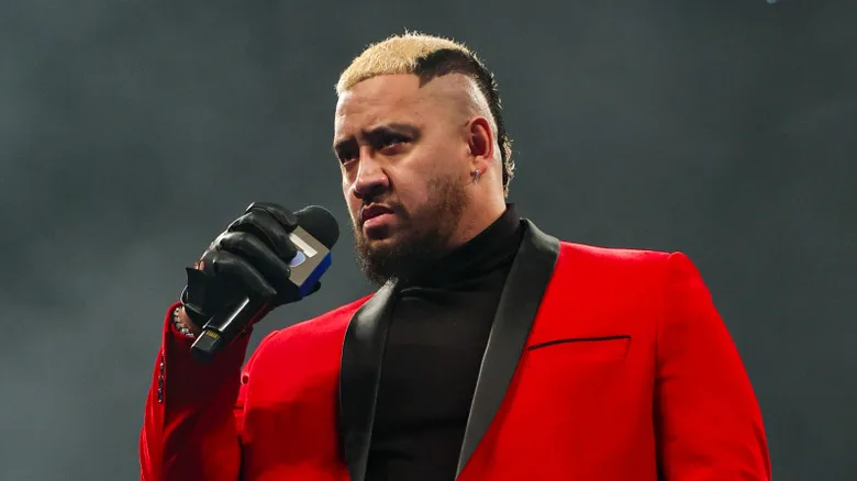 ブルーレイが激白！ロマン・レインズvsソロ・シコア、血の掟の行方